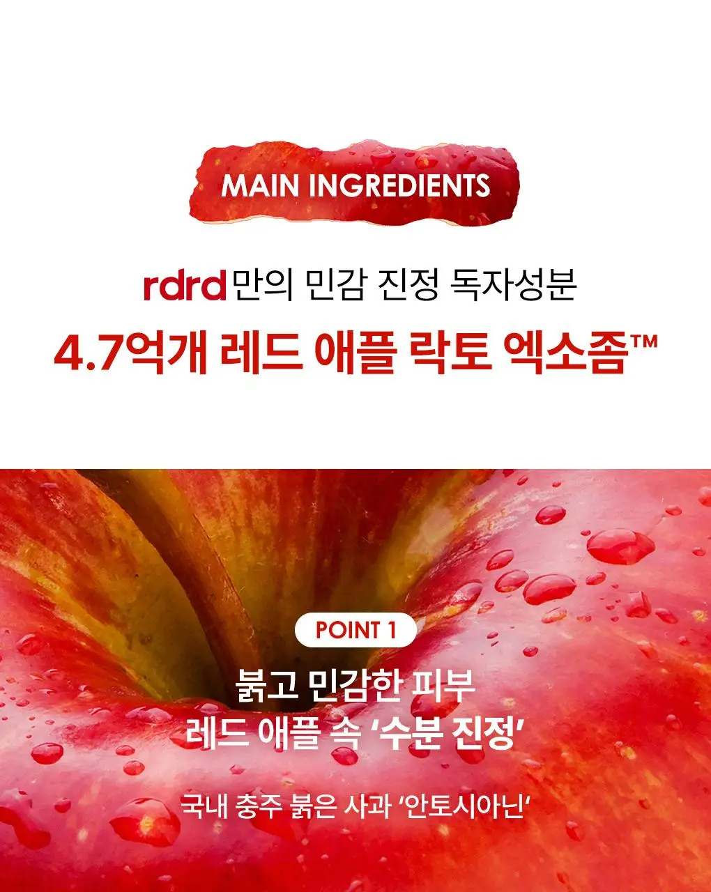 [NEW/단독기획] rdrd 레드 애플 락토 진정 팝핑 토너 95g 응급진정 KIT 기획 상세페이지 17